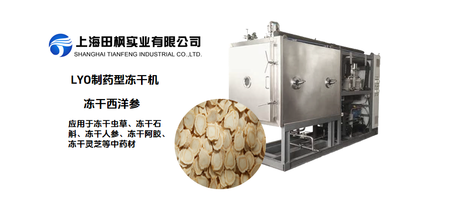 凍干西洋參和傳統(tǒng)干燥西洋參的對比